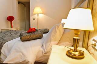 Отель Hotel Roman by Dumbrava Роман Стандартный двухместный номер с 1 кроватью или 2 отдельными кроватями-4